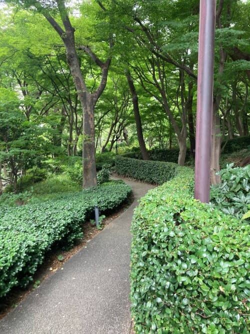 Urban Oasis Ambiance