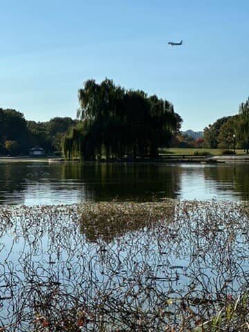 The Island and 56 Signers Memorial