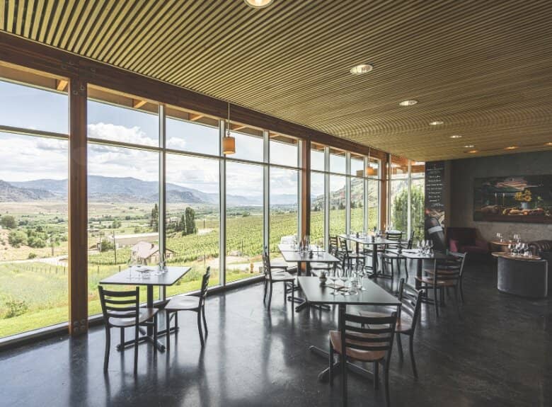 Vineyard and Valley Views