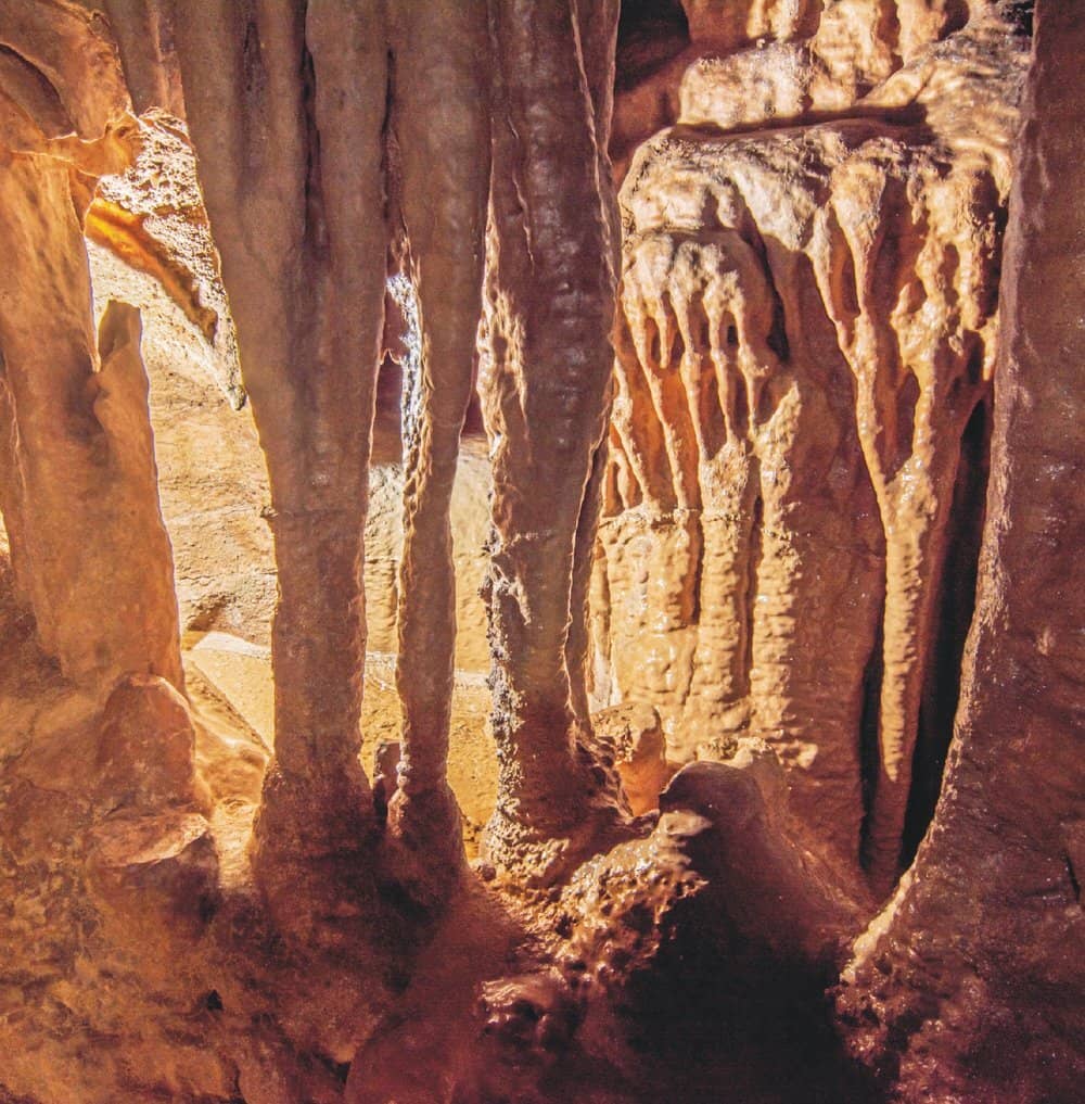 Abundant Fossils