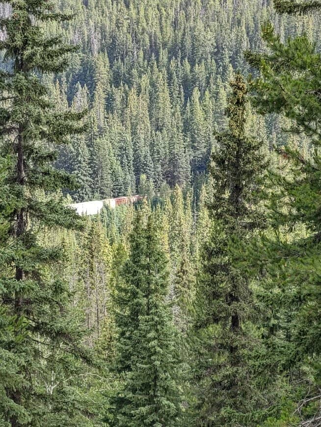 Engineering History Display