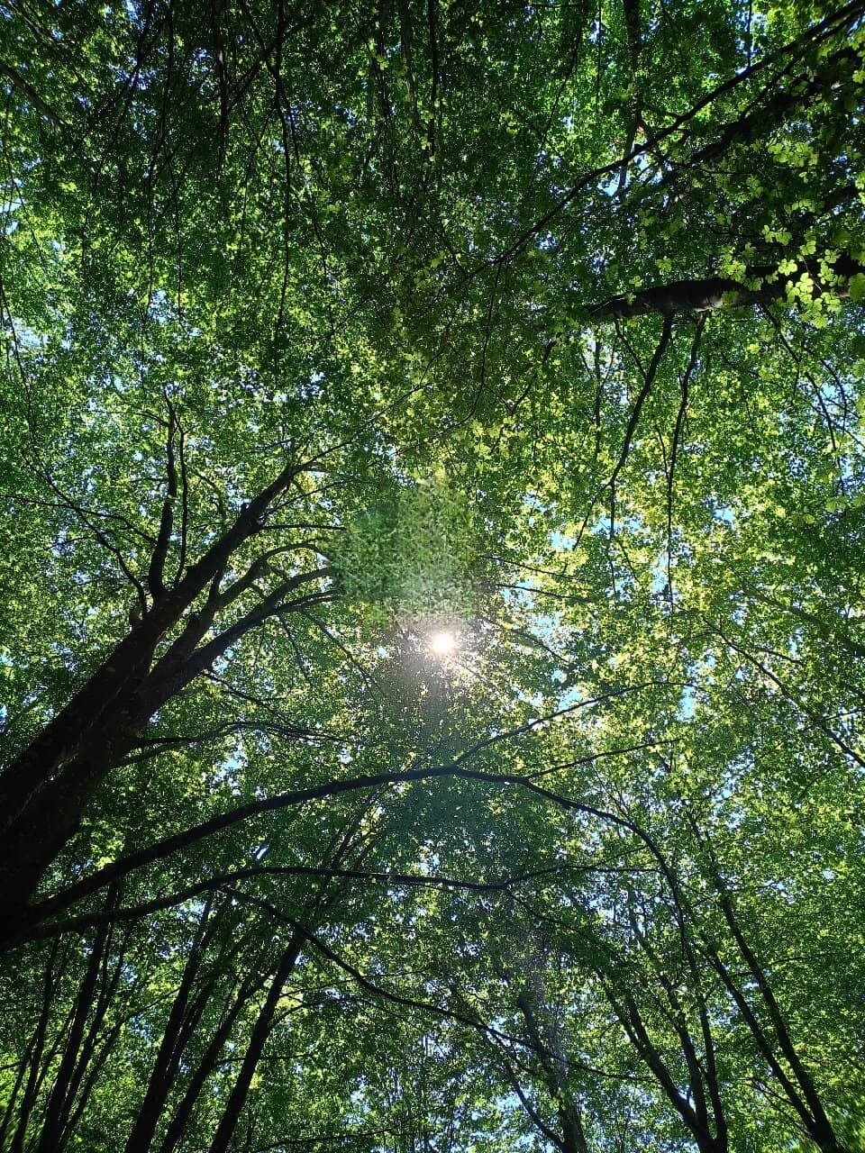 Picnic & Grilling Spots