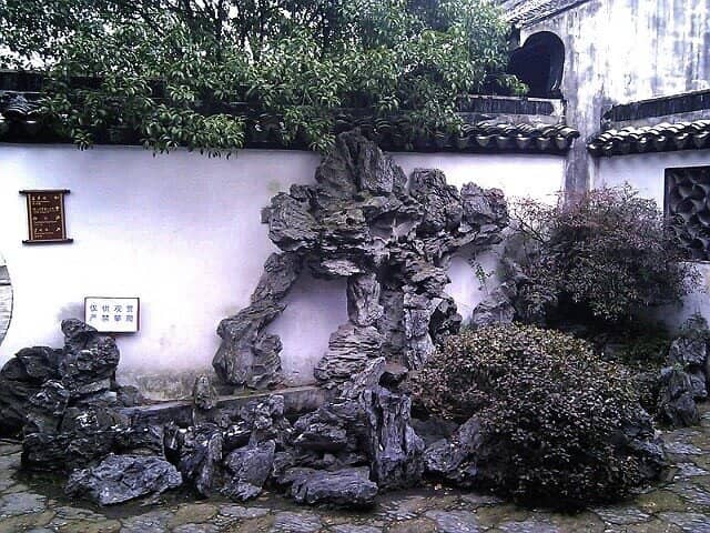 Chrysanthemum Exhibition