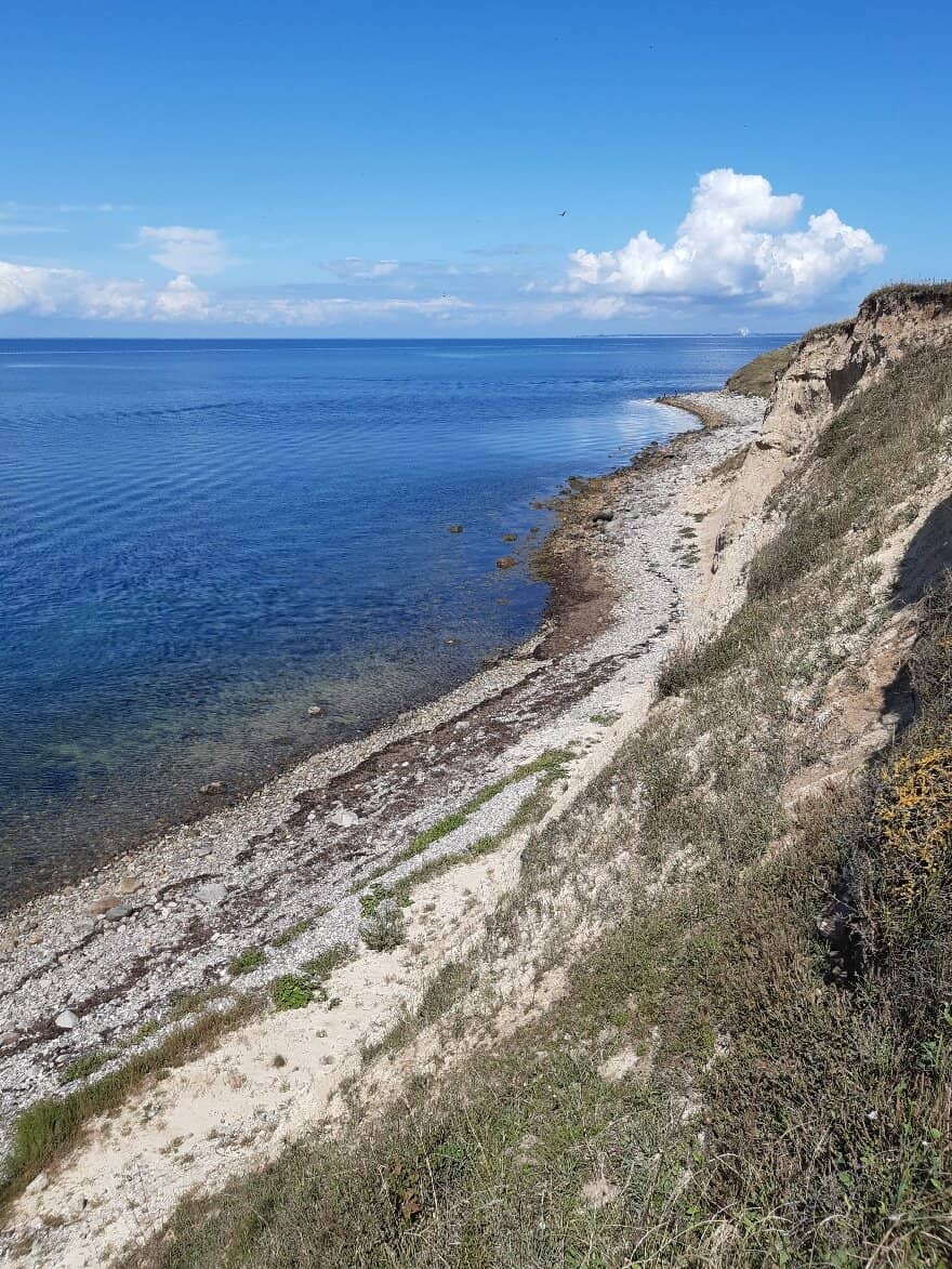 Fossil Hunting on the Beach