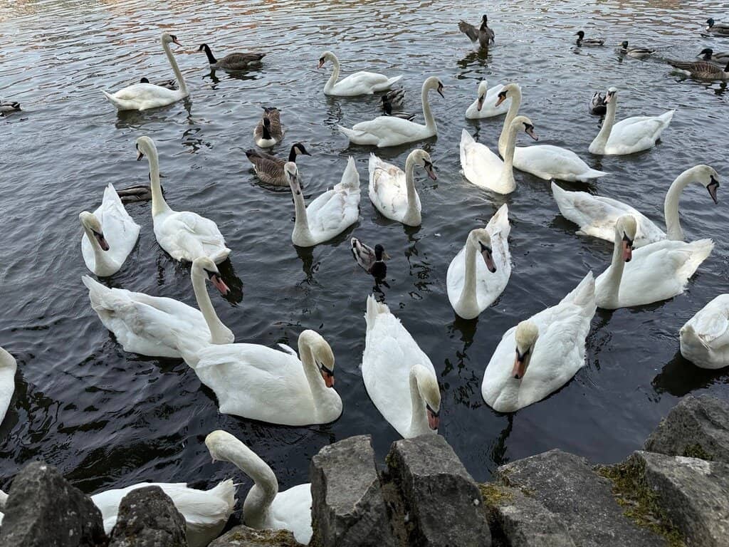 River Thames Path