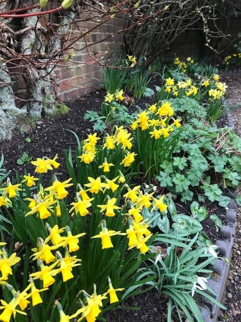 Historic Nettlefold Family Home