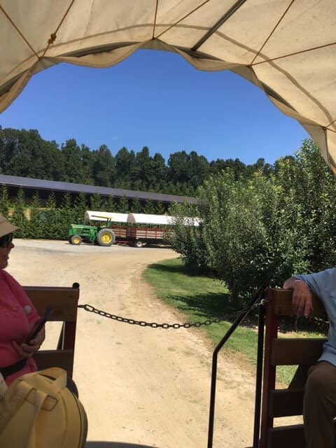 Apple Picking Adventure