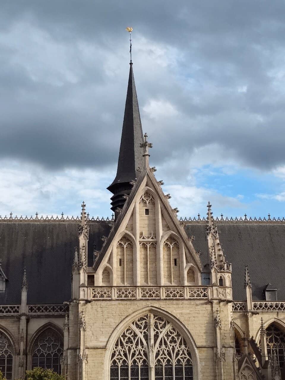 Vertical photo