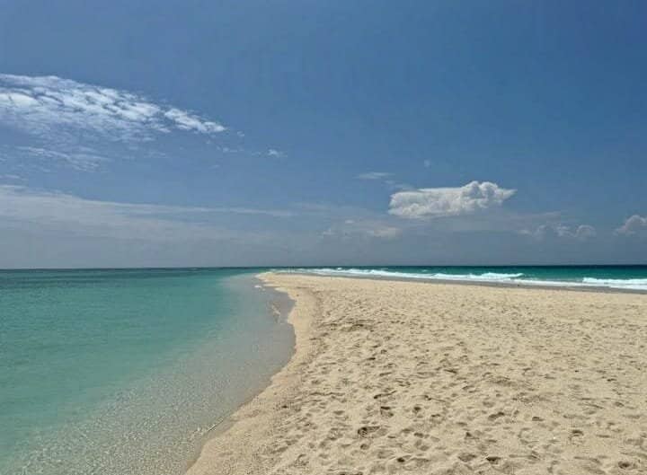 Prison Island Giant Tortoises