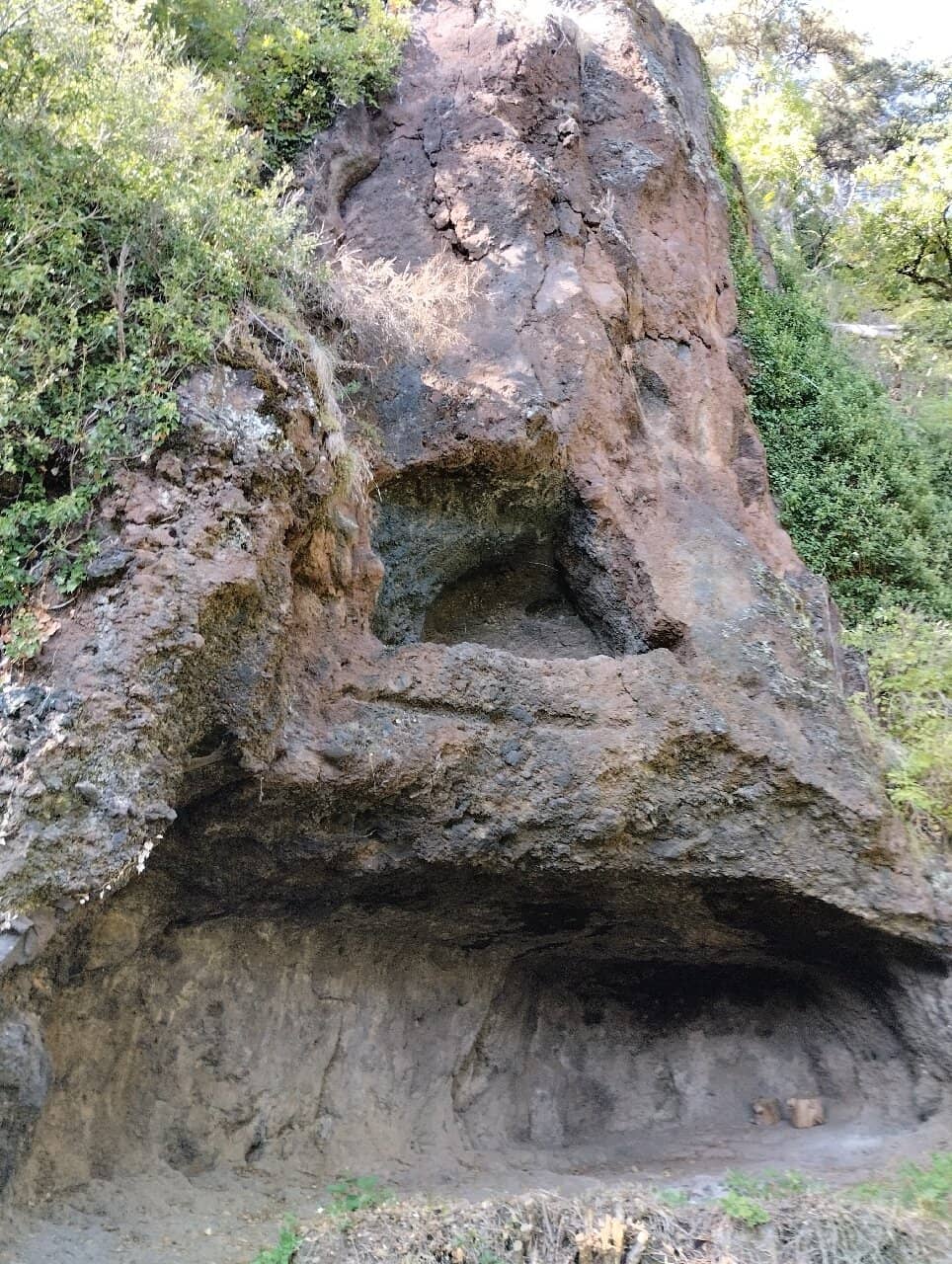 Vertical photo