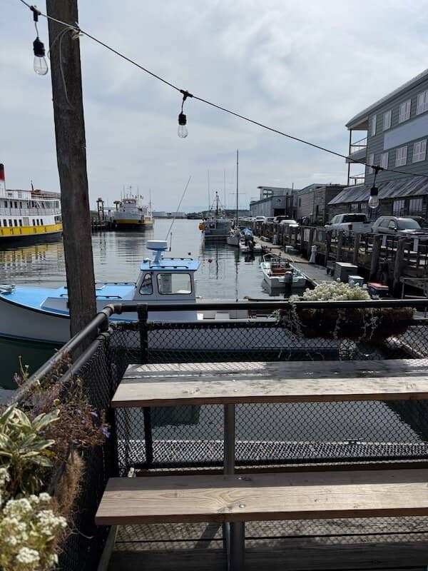 Fresh, Organic Ingredients