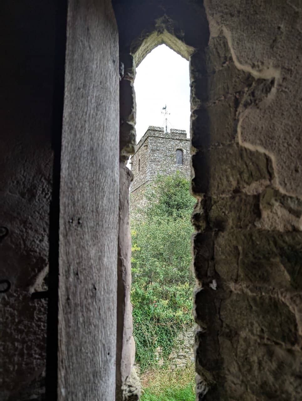Vertical photo