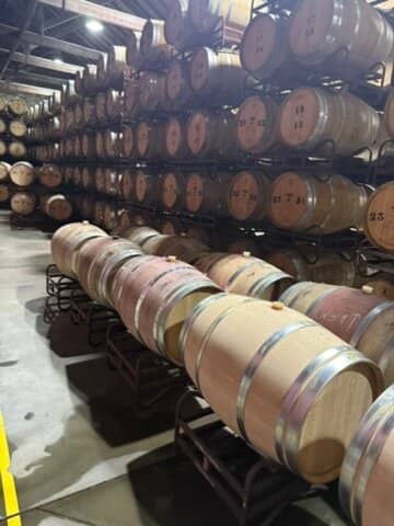 Tim's Terrace Dining