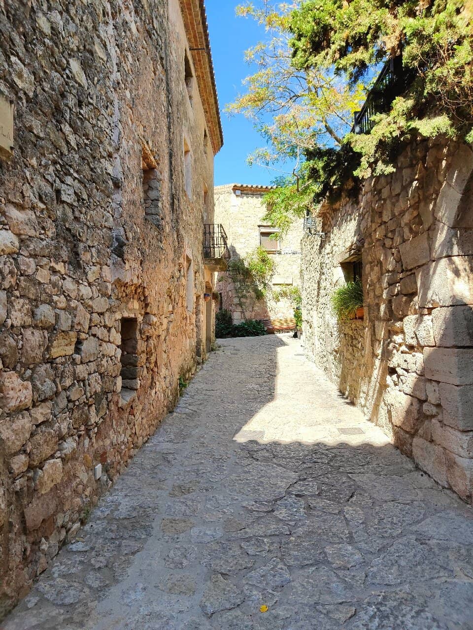 Vertical photo