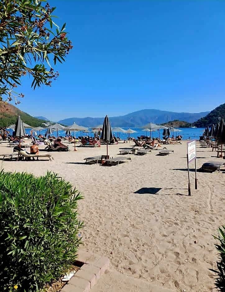 Vertical photo