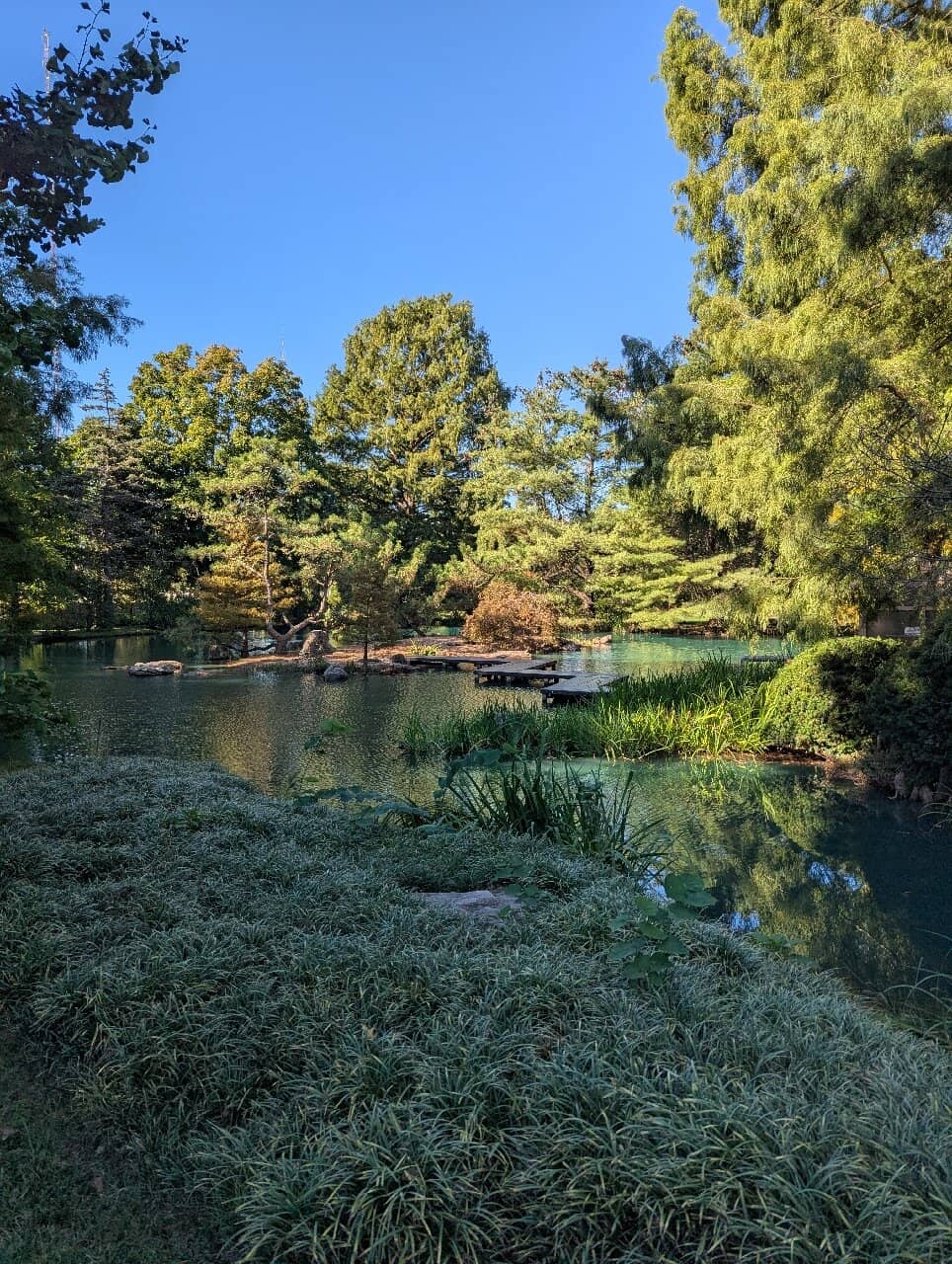 Koi Lake