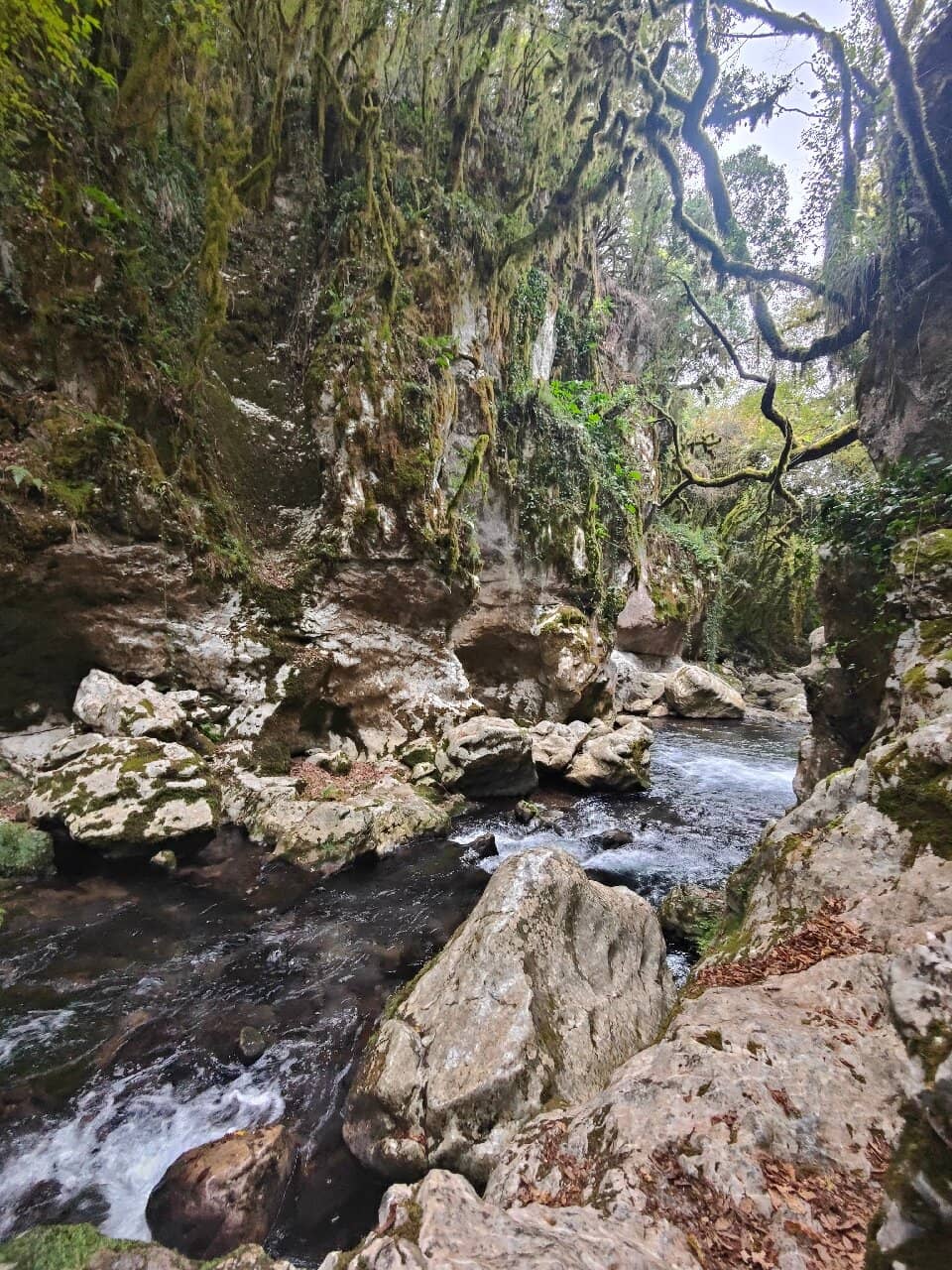 Ancient Stone Mill