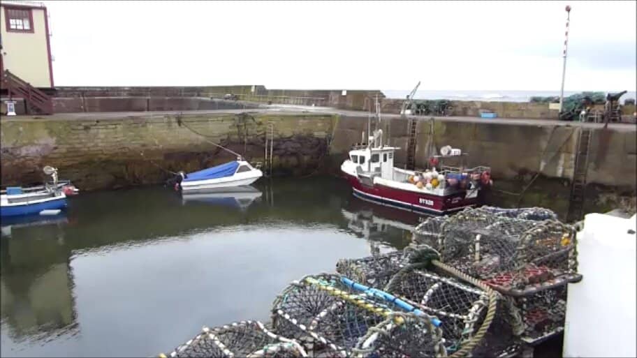 St Abbs Head National Nature Reserve