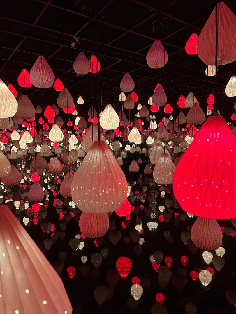 Thematic Immersive Zones