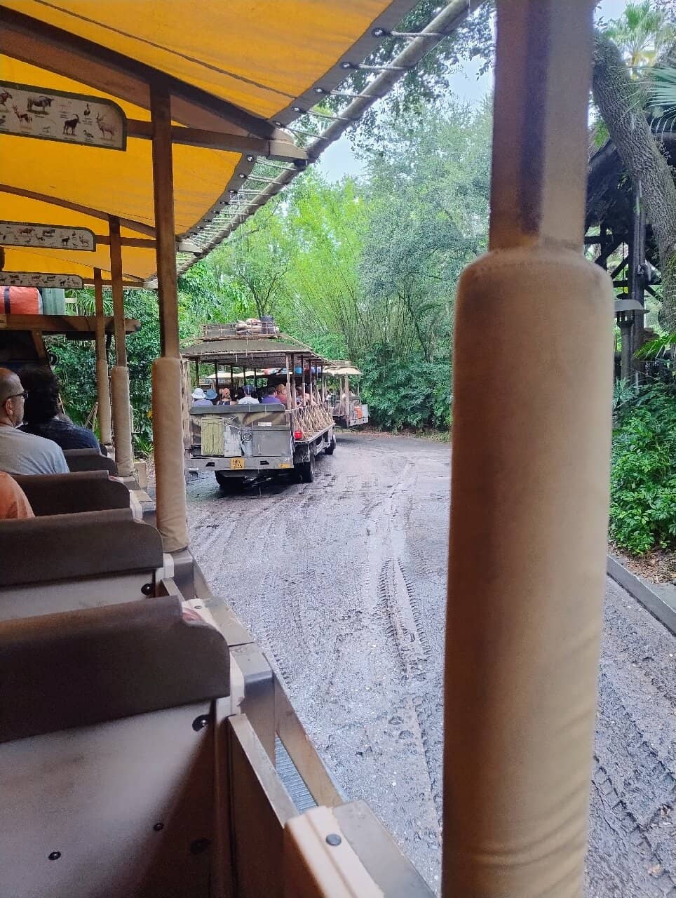 Baby Elephant Encounters