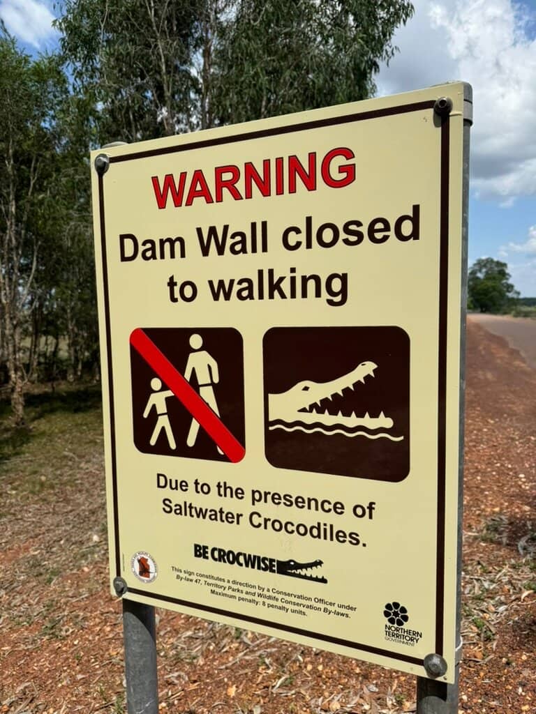 Crocodile Encounters (from a distance!)