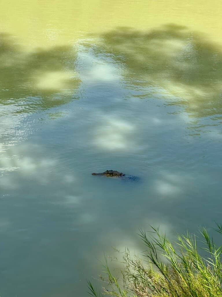 Tidal River Crossing