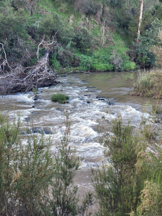 Yarra River Trails