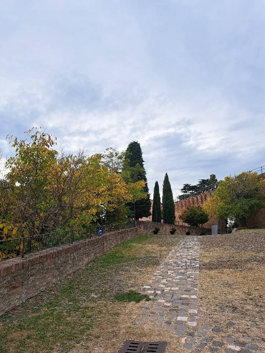 Strada della Vendemmia
