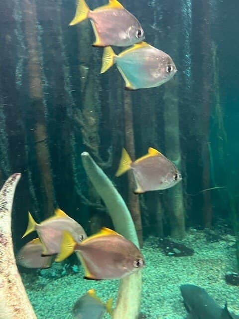 The Delta Works by Bike