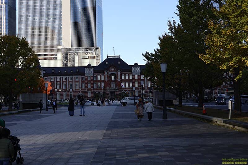 Christmas Illuminations