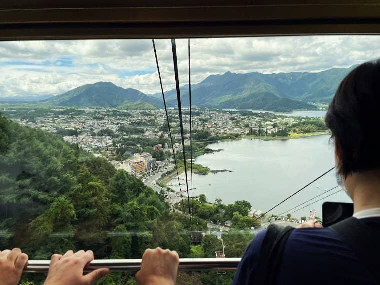 Observation Deck Swings