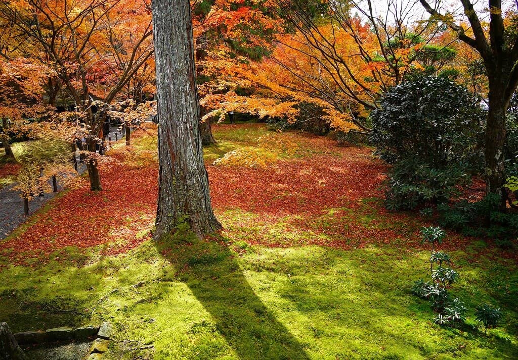 Arched Bridges & Streams
