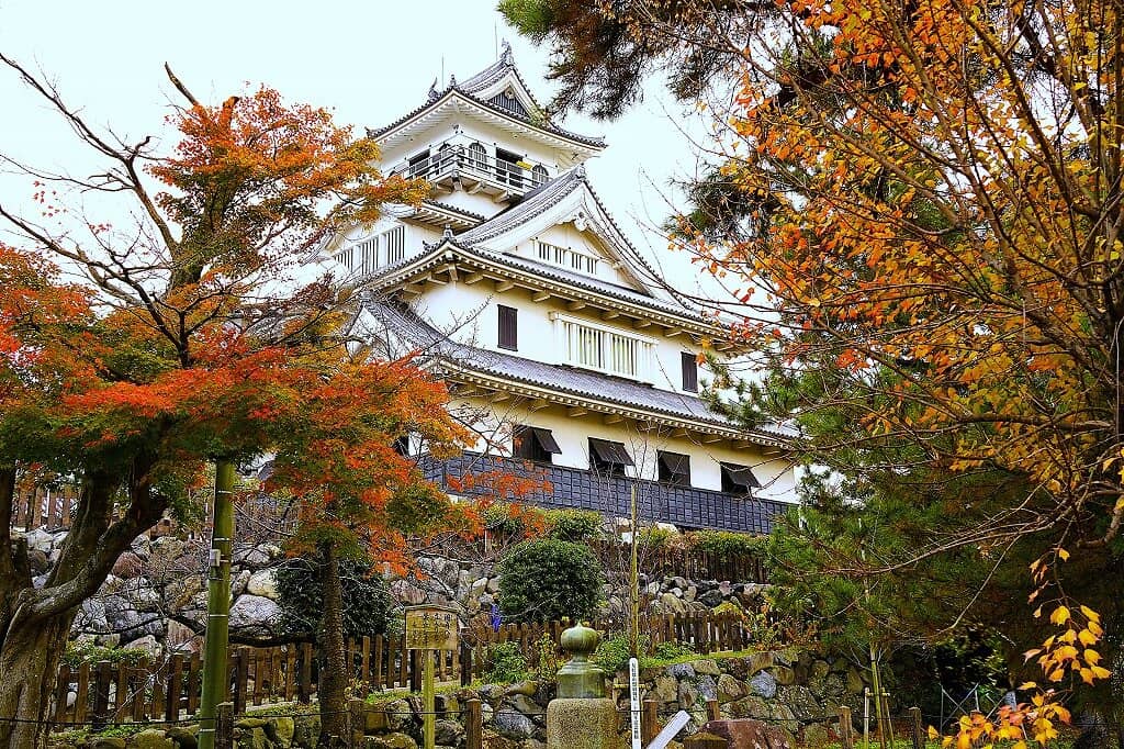 Lake Biwa Views