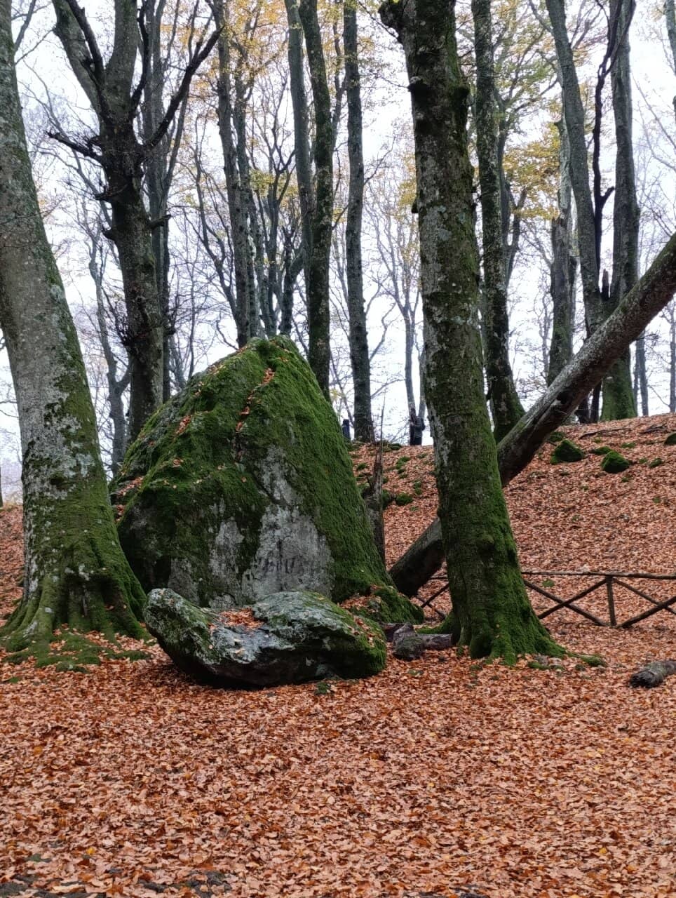Scattered Giant Rocks