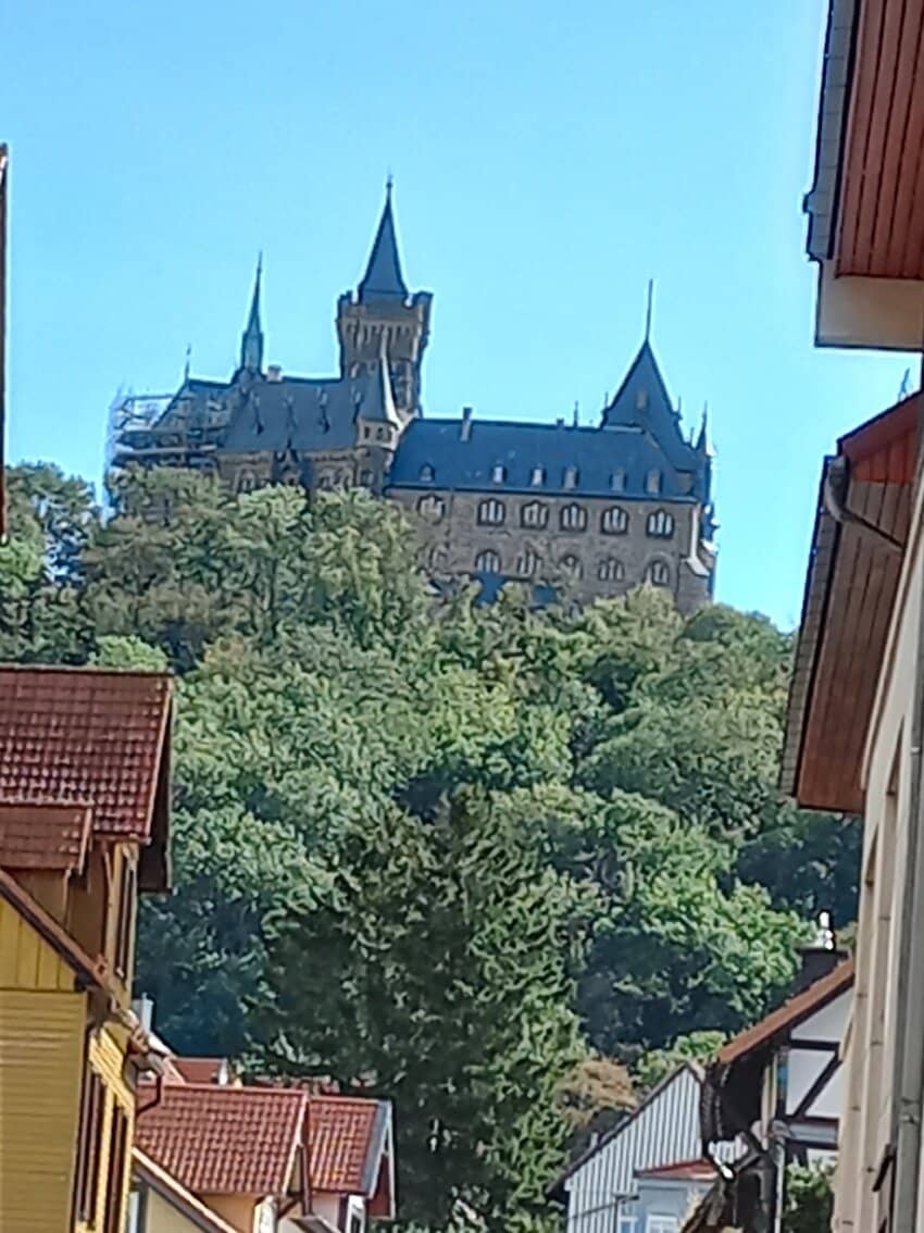 Vertical photo
