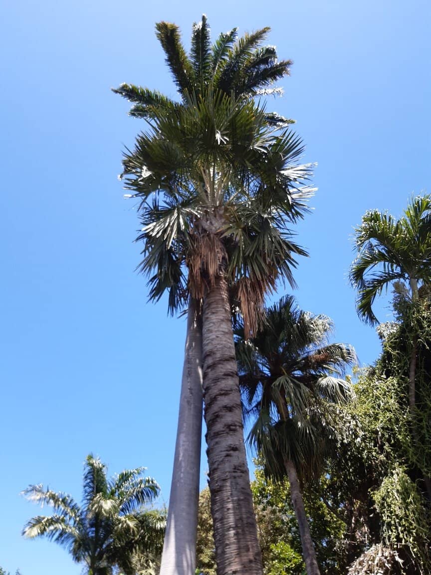 Vertical photo