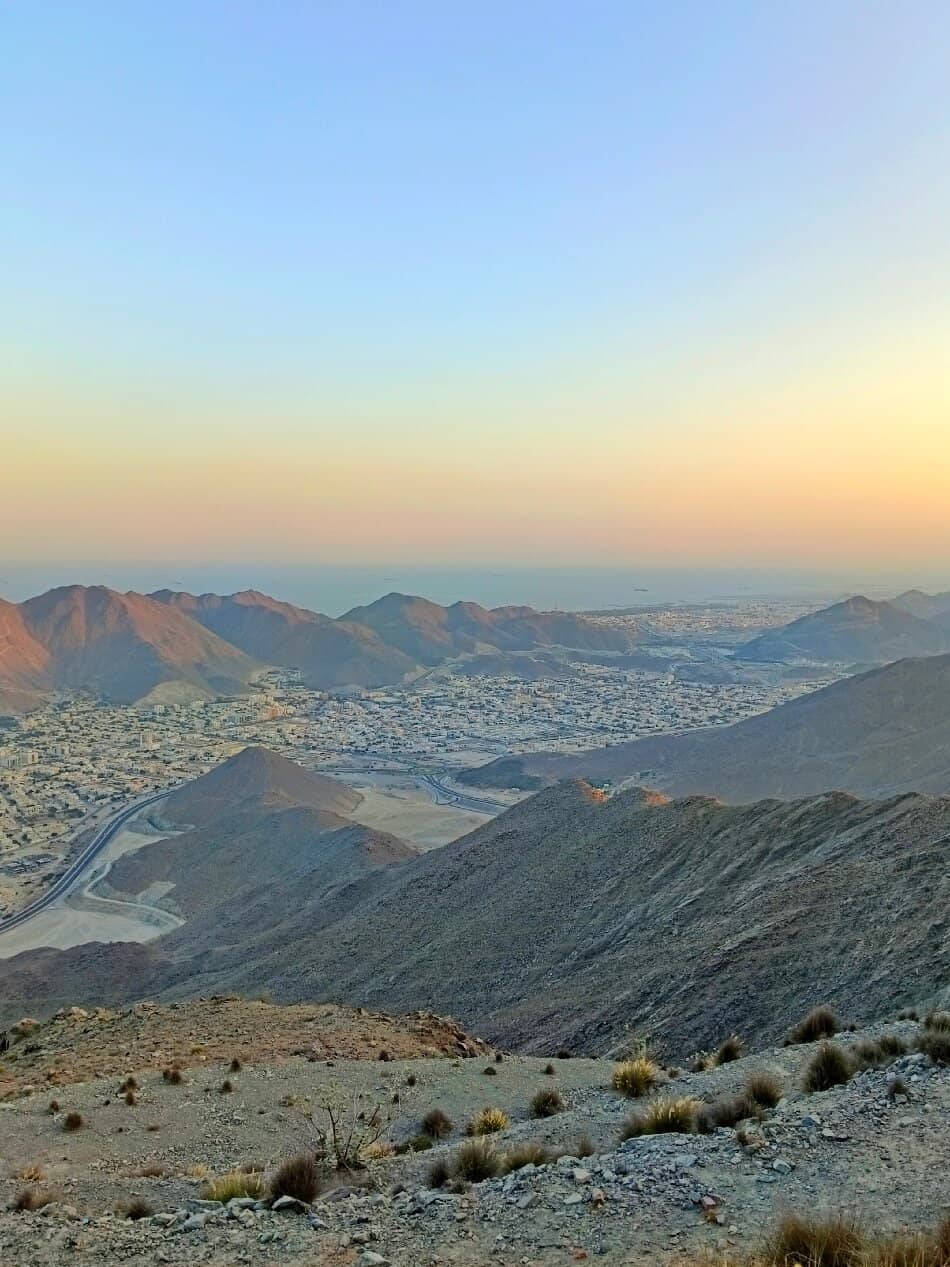 Kid-Friendly Play Area