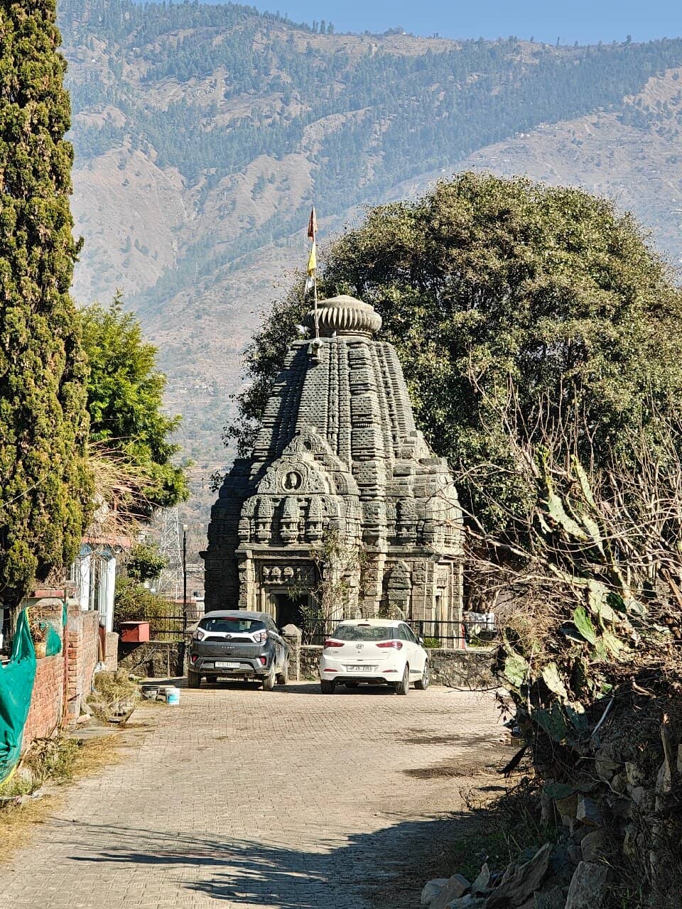Vertical photo