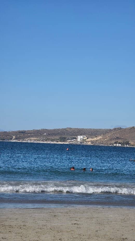 Fresh Oyster Delights