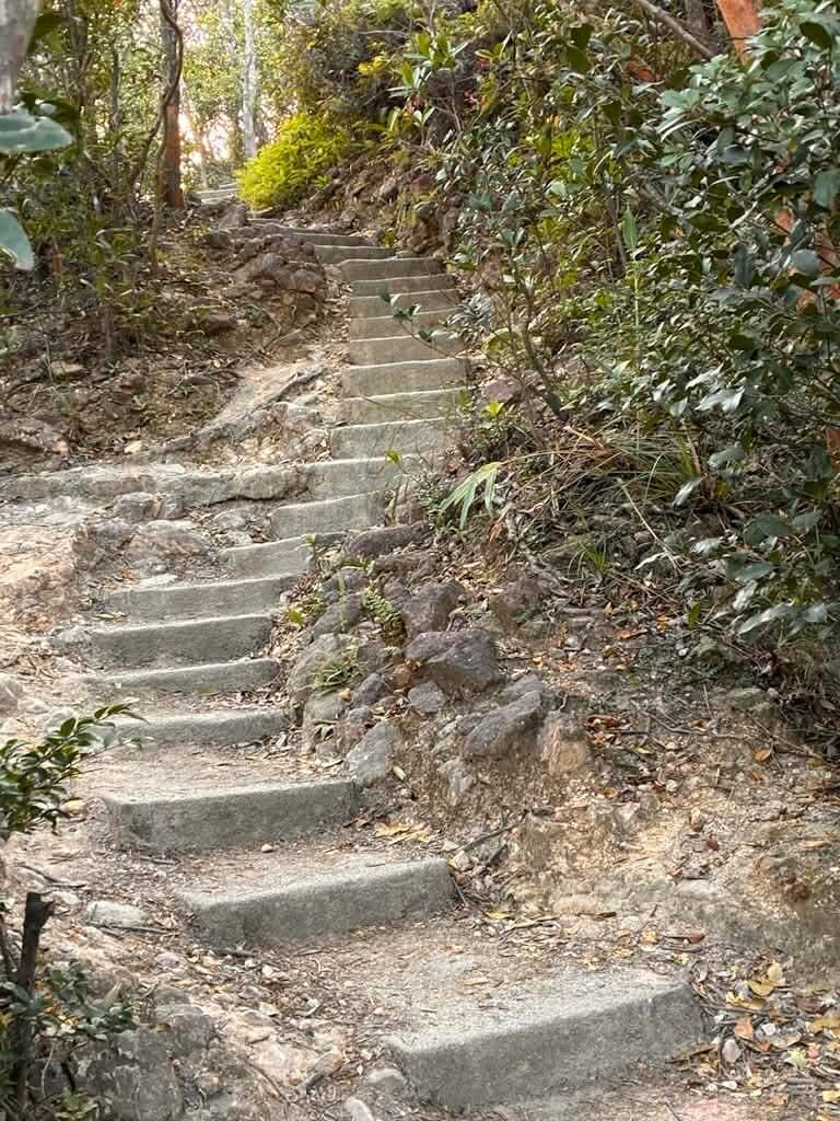 Harbourfront Exploration