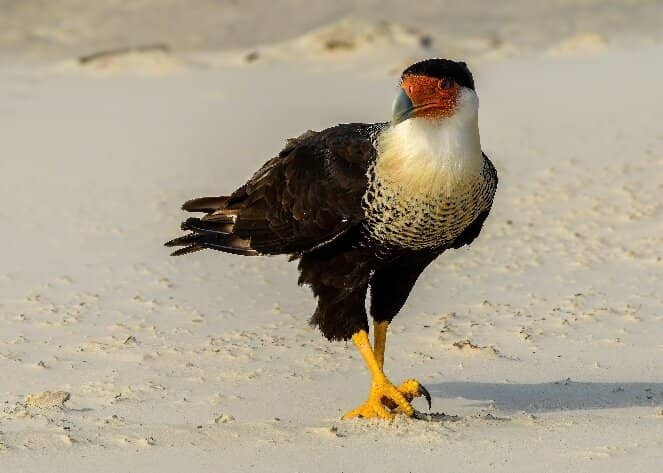 Malaquite Visitor Center