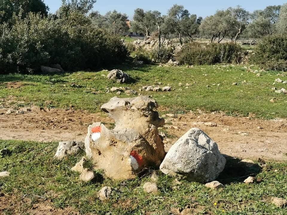 The 15th Century Bath