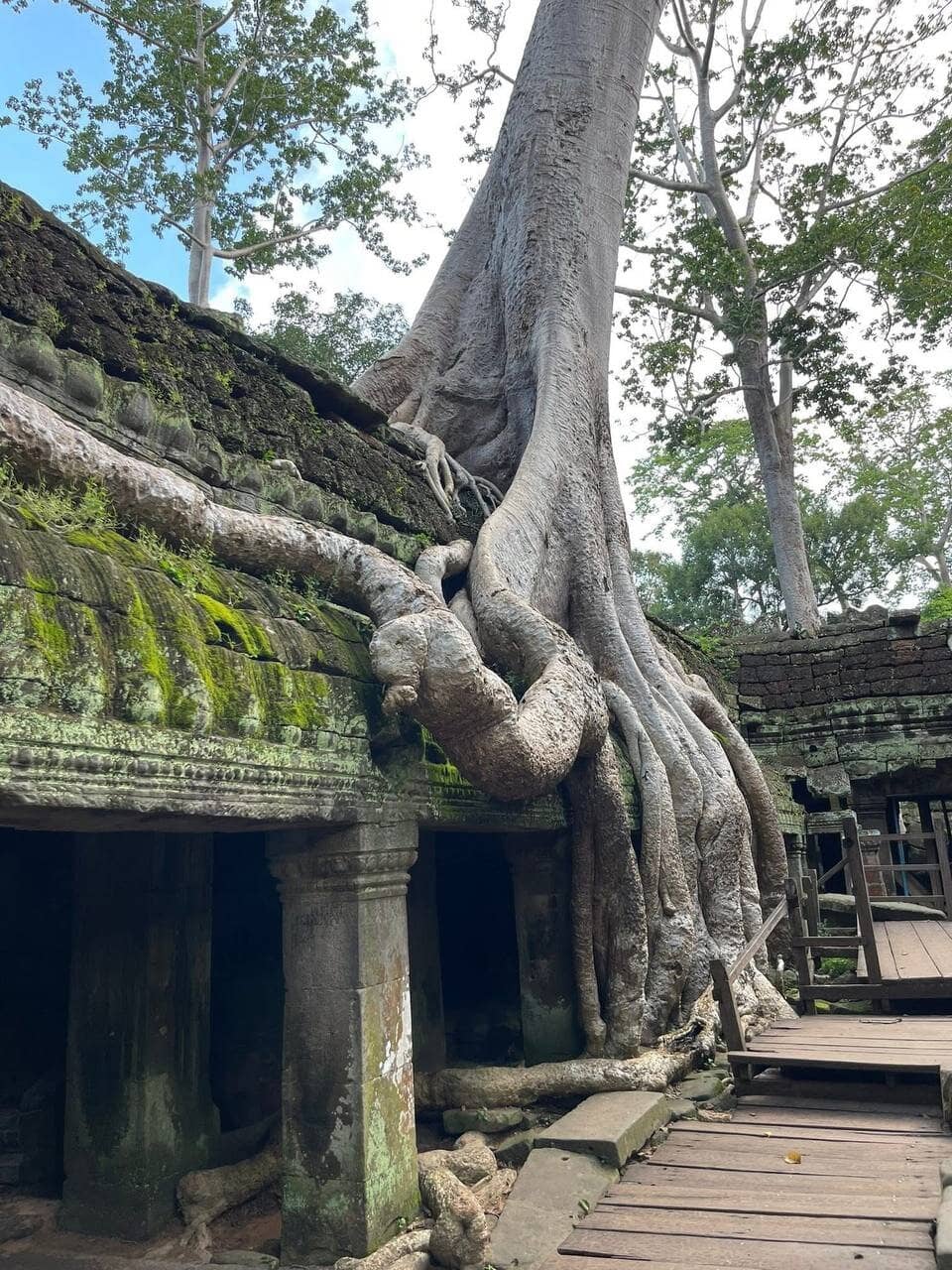 Tomb Raider Nostalgia