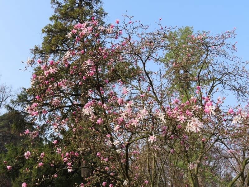 Parco Sempione