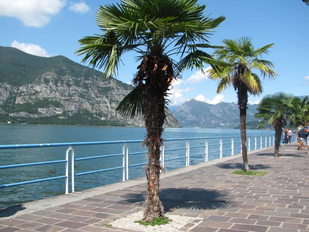 Sarnico-Paratico Bridge