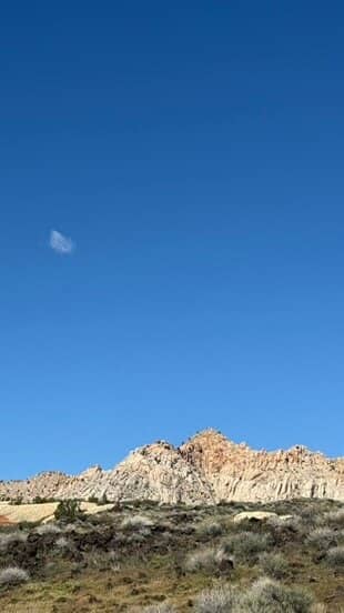 Vertical photo