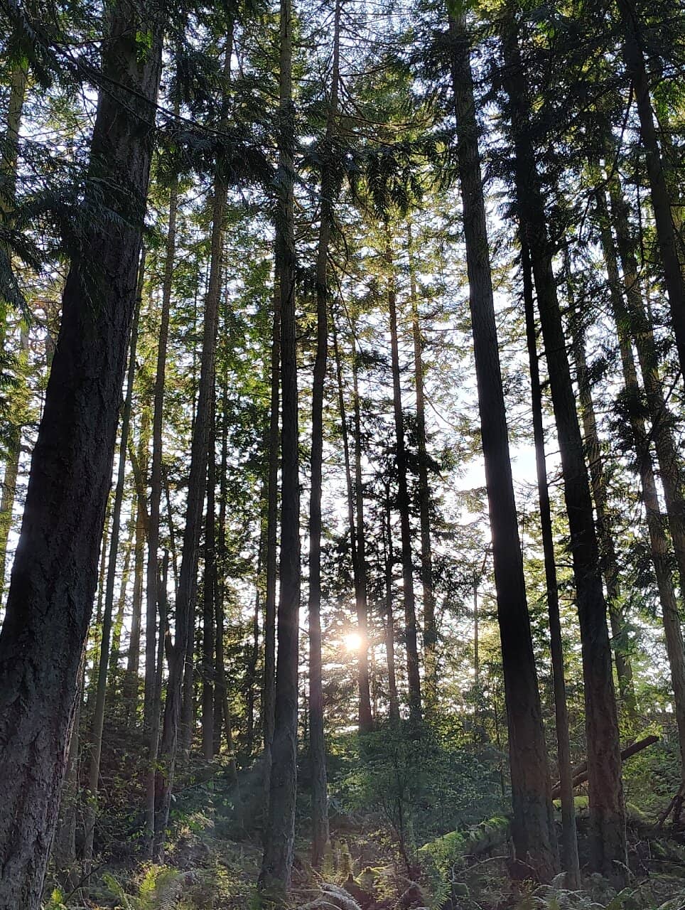 Vertical photo
