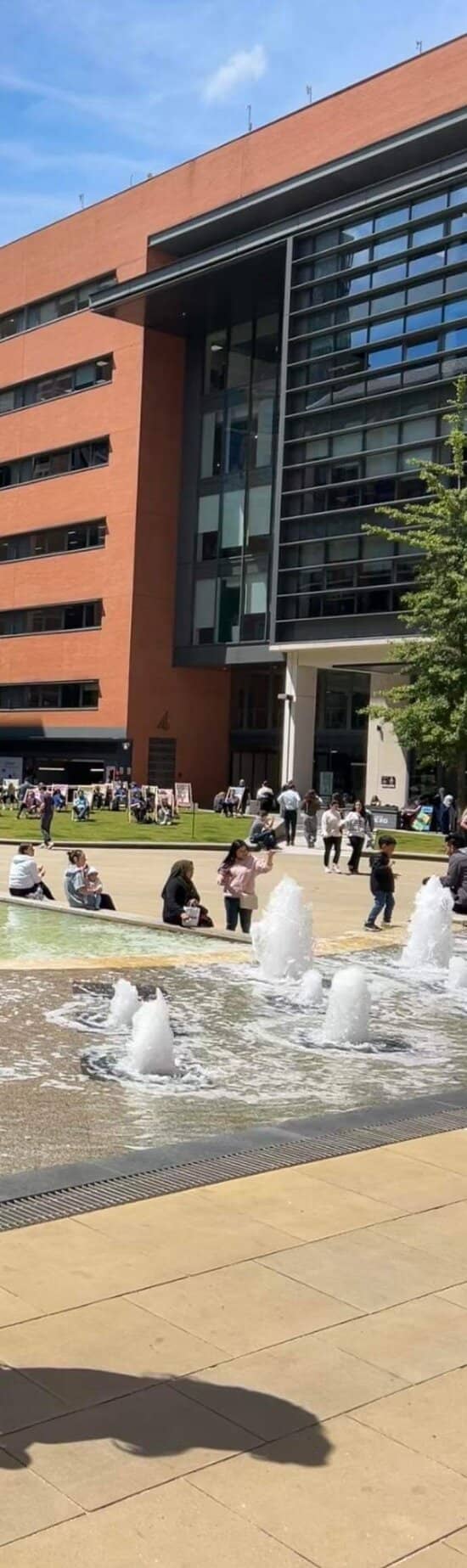 The Cherry Blossom Spectacle