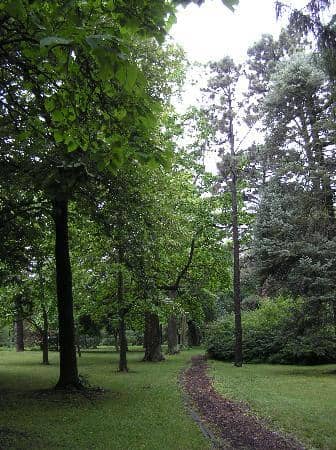 Whispering Bench