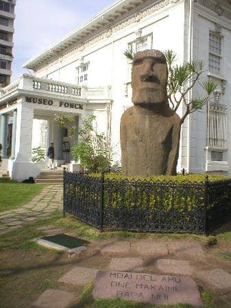 Natural History Collection